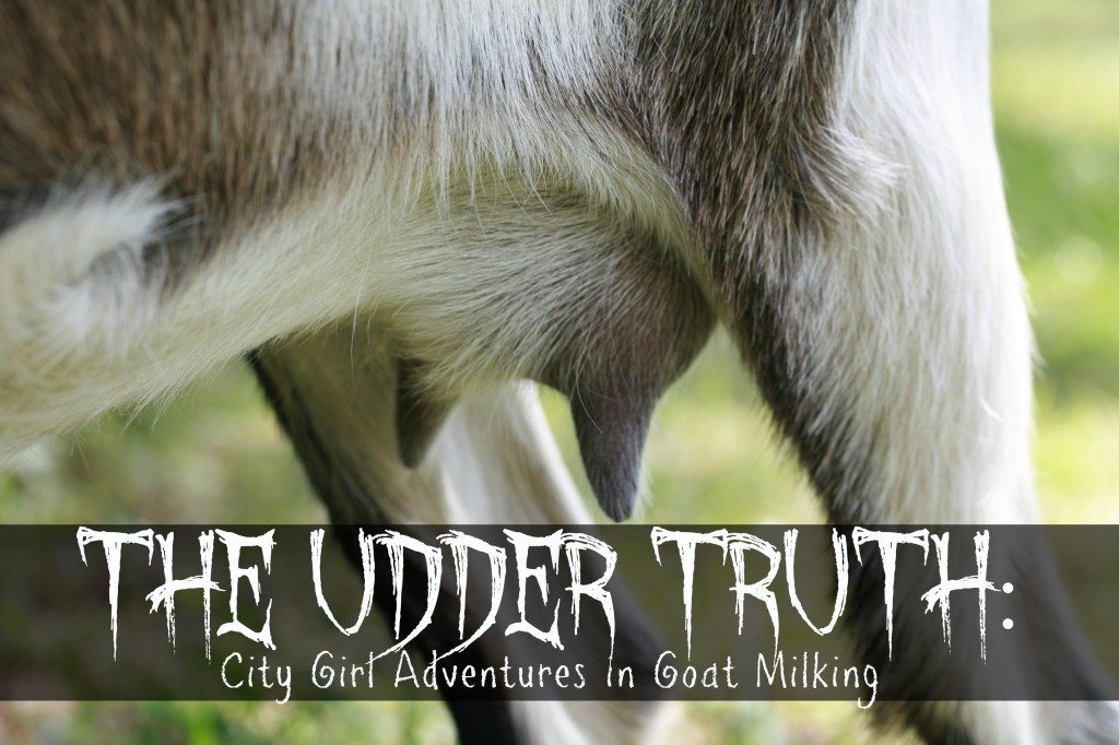 The Udder Truth City Girl Adventures in Goat Milking