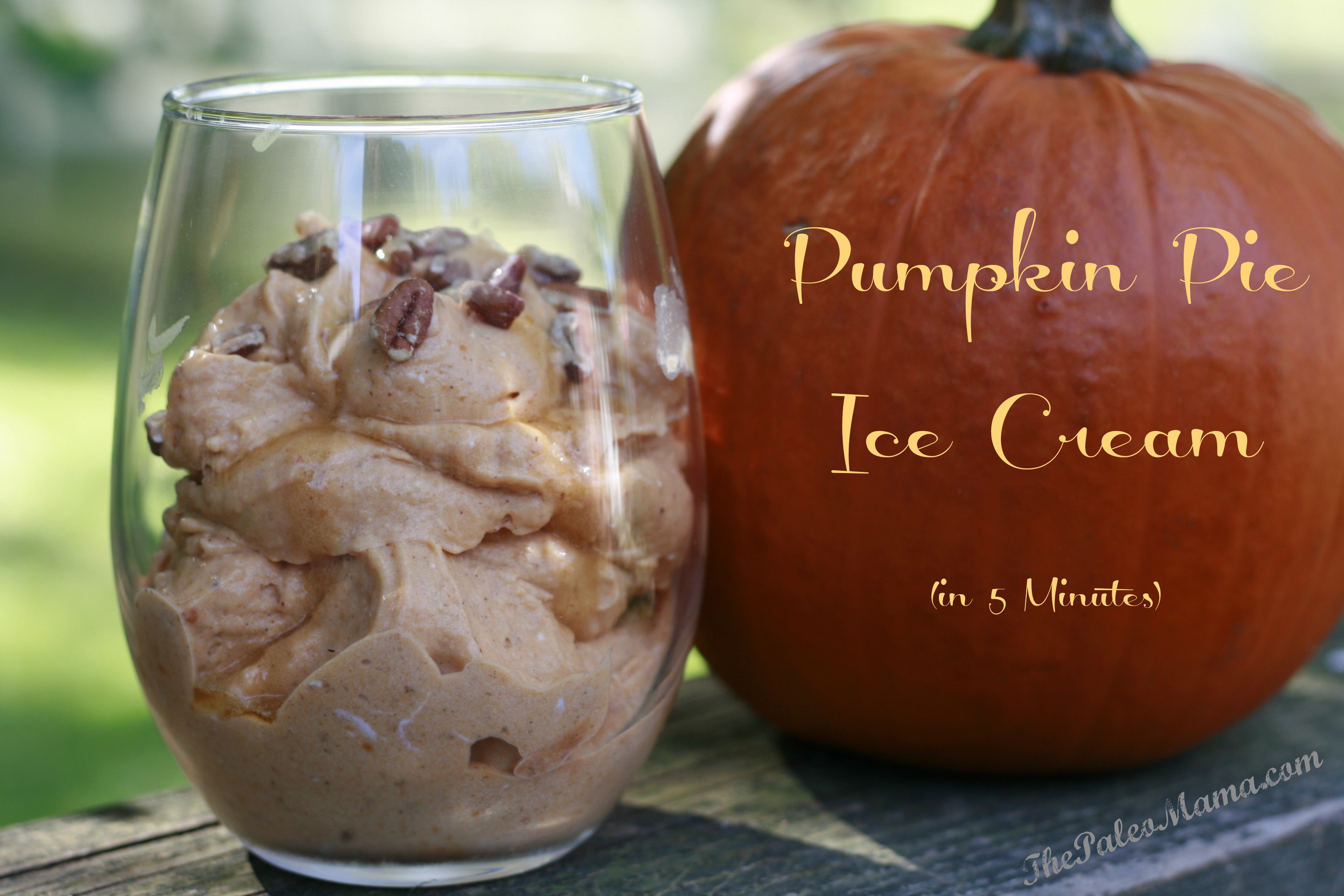 Pumpkin Pie Ice Cream in 5 Minutes!