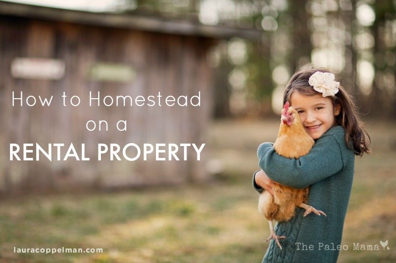 Homestead on a Rental Property