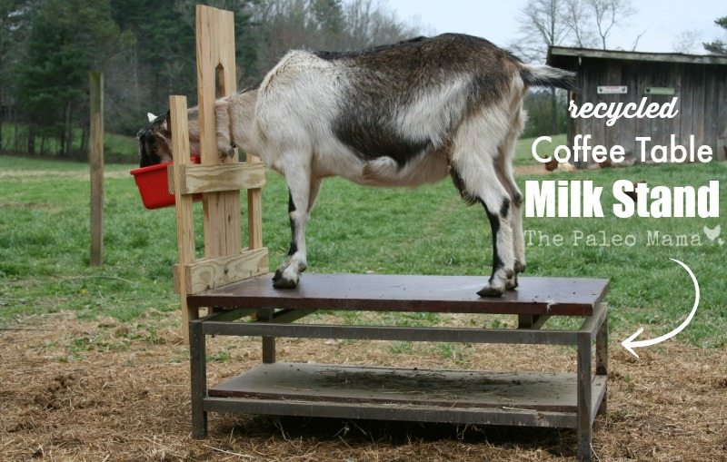 Recycled Coffee Table Milk Stand