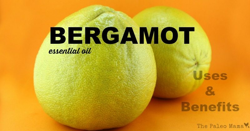 Bergamot oranges on orange background