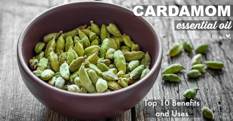 Cardamom Essential Oil Uses and Benefits