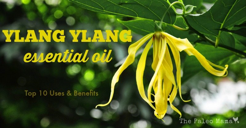Ylang Ylang Essential Oil 