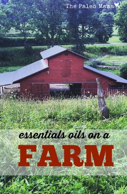 Essential Oils Around Your Farm