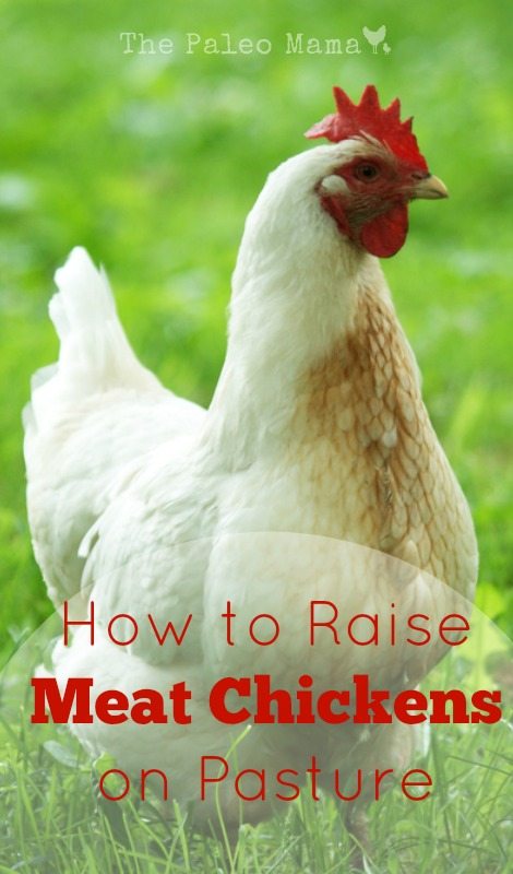 How to Raise Meat Chickens on Pasture