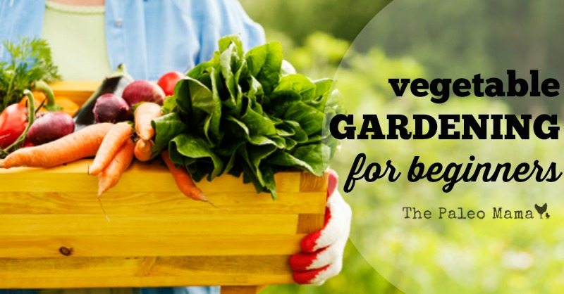 This Summer, Try a Container Vegetable Garden! - Laidback Gardener