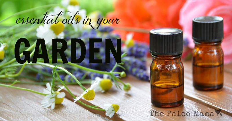 Essential Oils for Your Garden