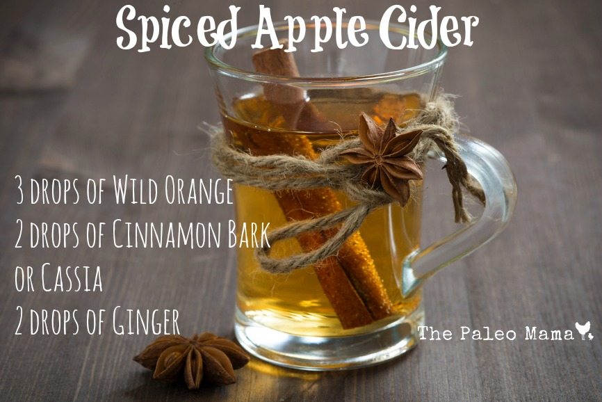 Spiced Apple Cider diffuser blend