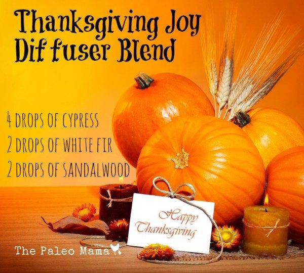 Thanksgiving Joy Diffuser blend