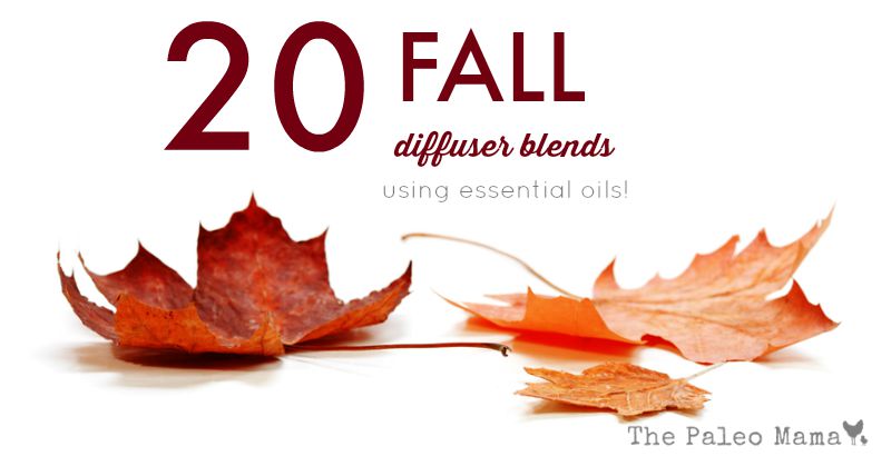 20 Fall Diffuser Blends