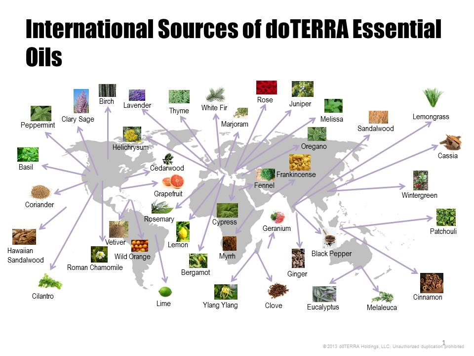 Sources of Oils MAP