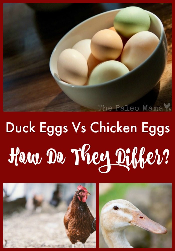 Duck Eggs Vs Chicken Eggs