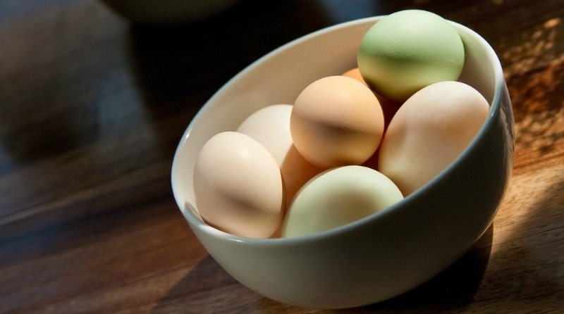 What’s the Difference Between Duck Eggs & Chicken Eggs?