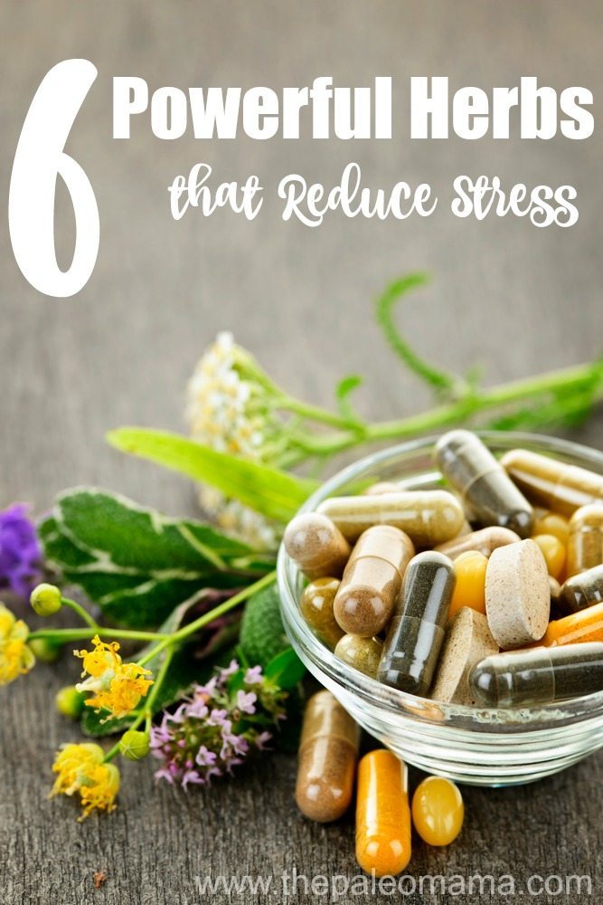 6 powerful herbs that reduce stress