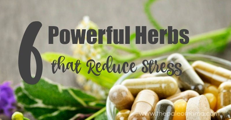 6 Powerful Herbs that Reduce Stress
