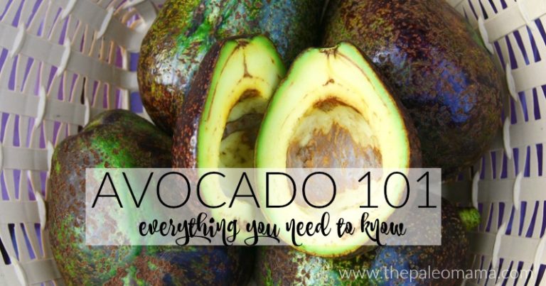 Avocado 101 - Everything You Need to Know - The Paleo Mama