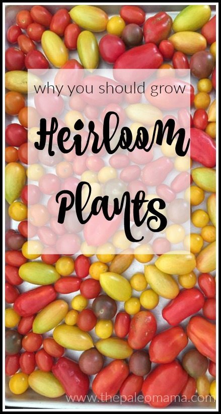 Heirloom Plants pin