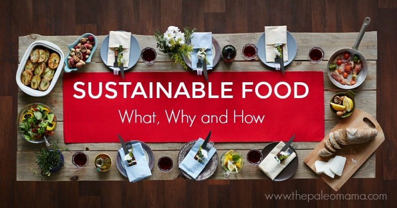 Sustainable Food – What, Why, and How