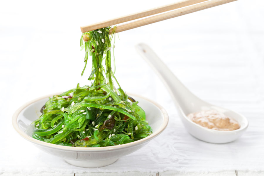 Seaweed Kelp — is it the new kale?