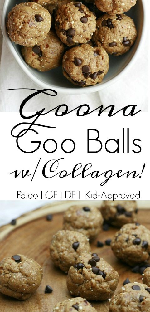 Paleo Goo Balls