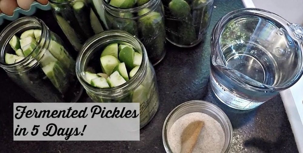 How to Make Fermented Pickles