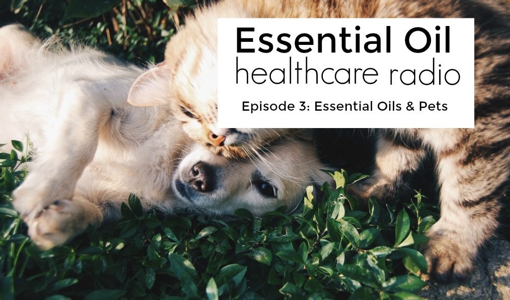 003: Essential Oils and Our Four-legged Friends!