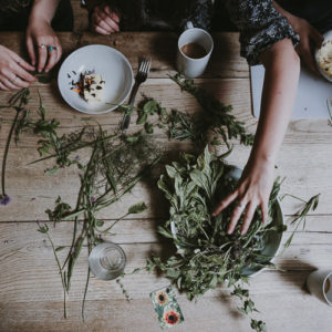 Dried Herbs 