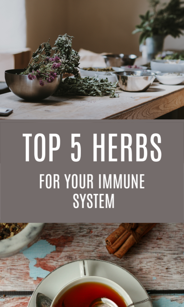 Herbs for immune system (1)